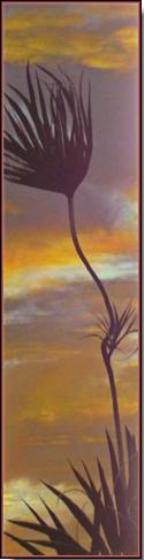 Lingering Breeze